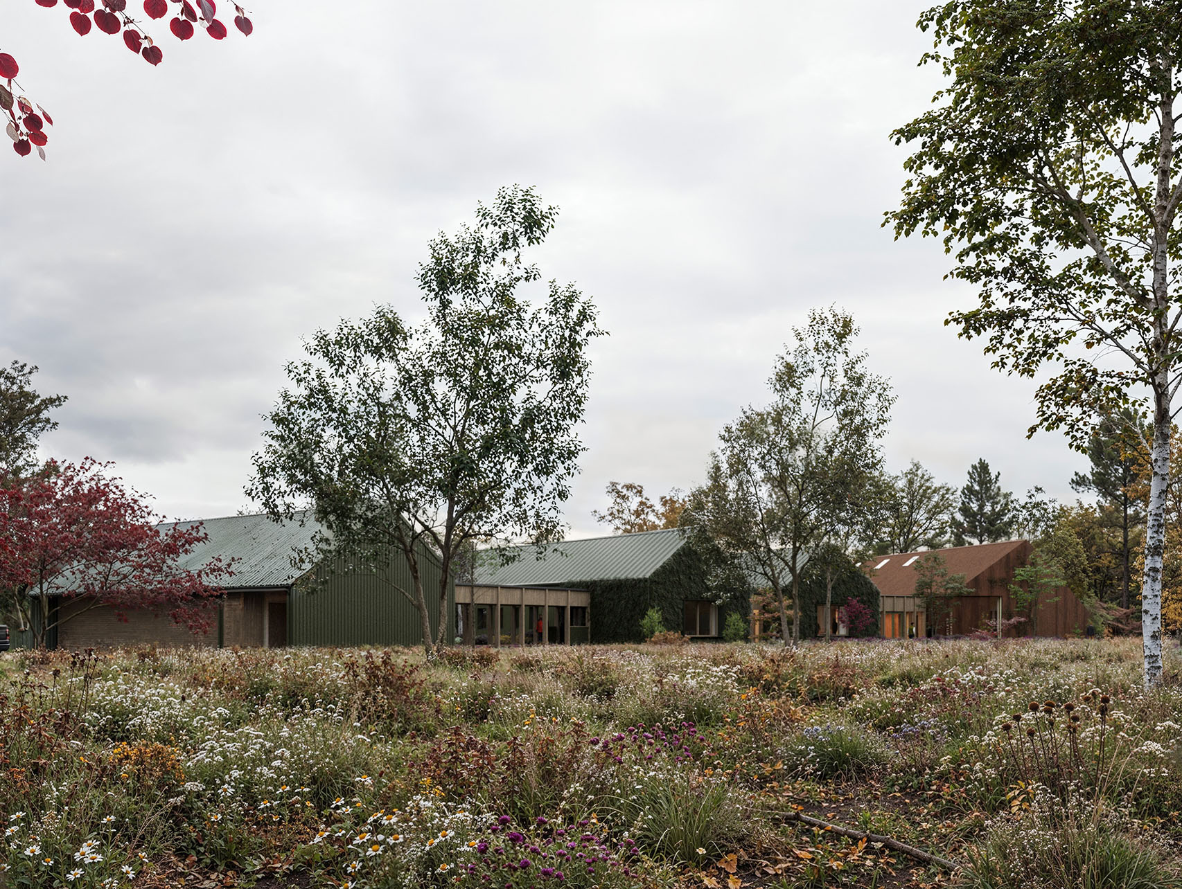 Bartlett Arboretum wide view